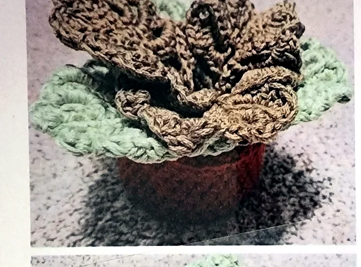 Crochet monstera plant coaster set